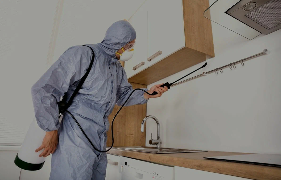 Union City pest managment